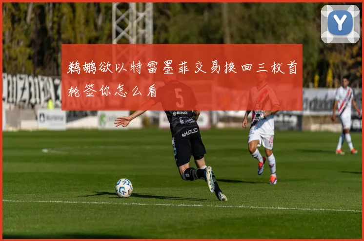 鹈鹕欲以特雷墨菲交易换回三枚首轮签你怎么看