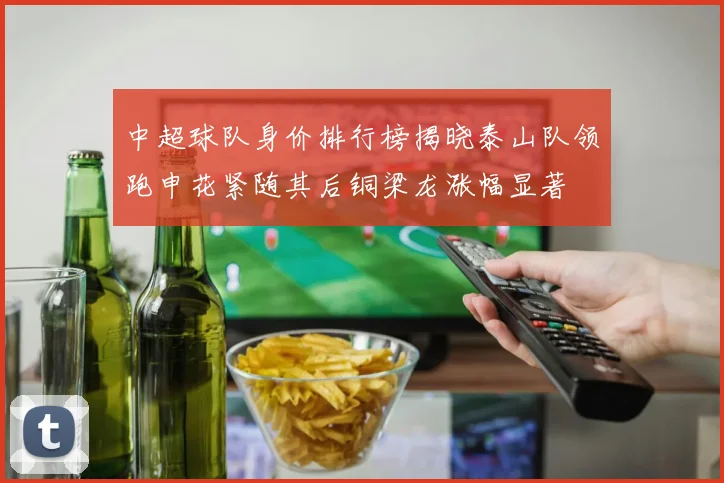 中超球队身价排行榜揭晓泰山队领跑申花紧随其后铜梁龙涨幅显著